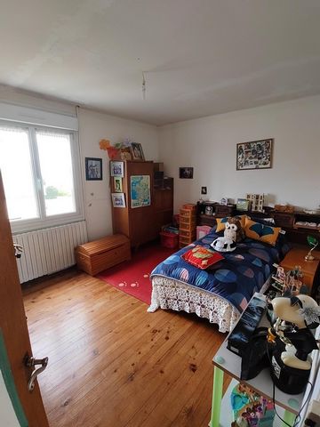 photo no. 10
