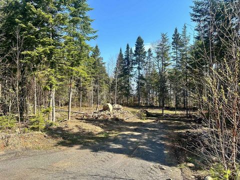 Qualité prix exceptionnel ! Charmant terrain de 3142m2 dans une rue très calme et en développement de Saint-Tite-des-Caps. Optez pour la tranquillité et offrez-vous un endroit paisible au coeur de la nature. Terrain abordable dans un cadre enchanteur...