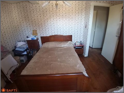 photo no. 8
