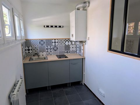 photo no. 2
