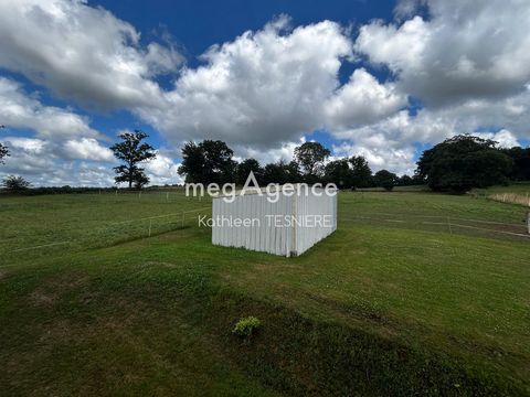 photo no. 17
