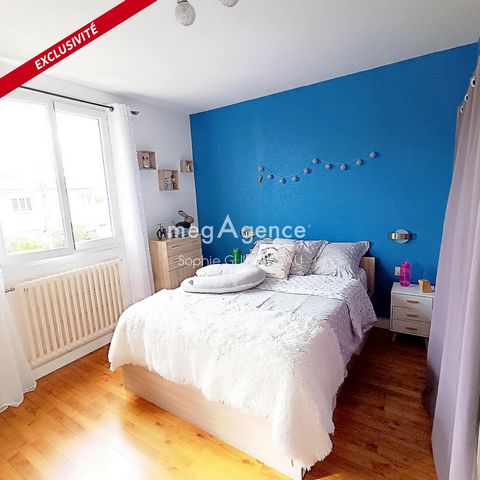 photo no. 10