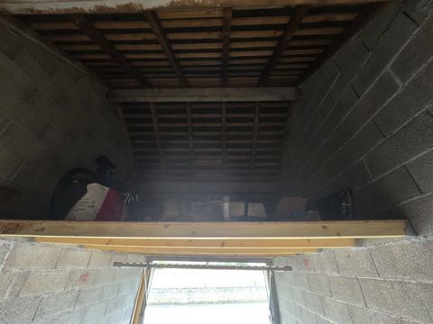 photo no. 19