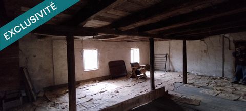 photo no. 10