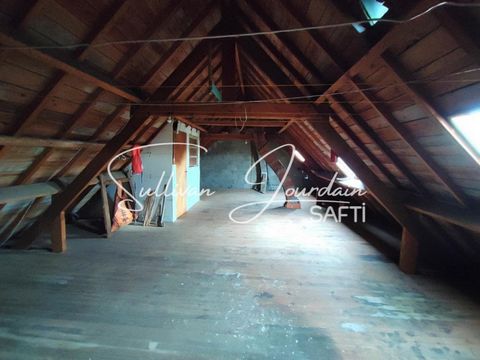 photo no. 11