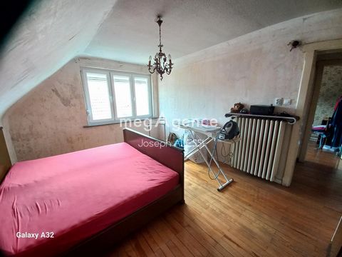 photo no. 11