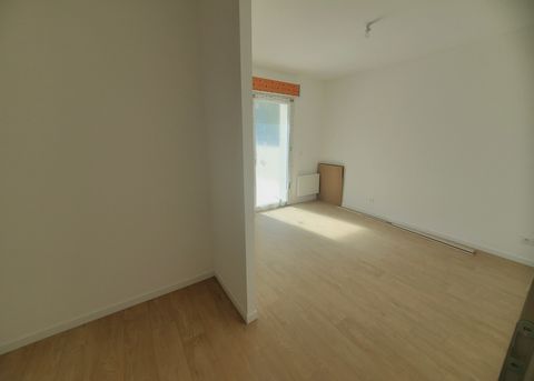 photo no. 8