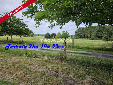 photo no. 12