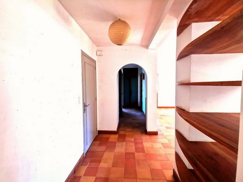 photo no. 11