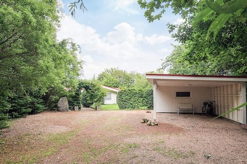 Das beliebte Ferienhausgebiet bei Ålbæk Strand bietet die schönste Kulisse für Ihren bevorstehenden Urlaub, denn hier sind Sie vom Fjord, der herrlichen Natur und dem Campingplatz mit eigenem Wasserpark umgeben, sodass Ihnen sowohl auf dem Wasser als...