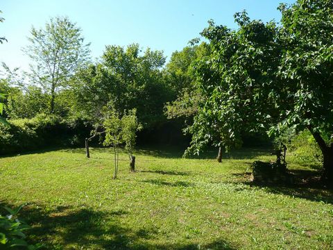 photo no. 16