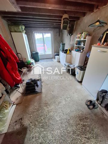 photo no. 10