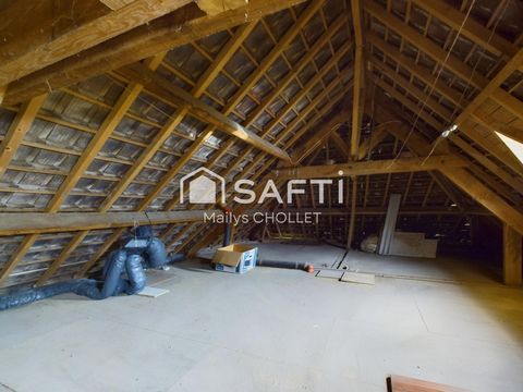 photo no. 11
