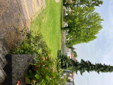 photo no. 10