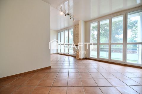 photo no. 6