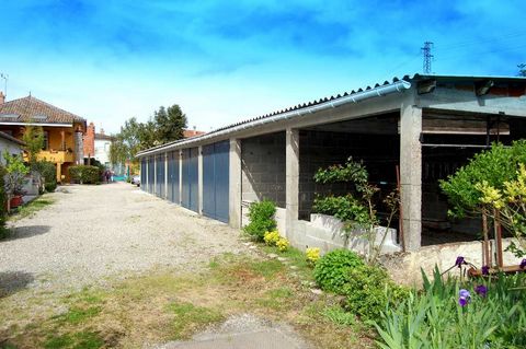 photo no. 10