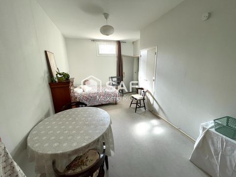 photo no. 6
