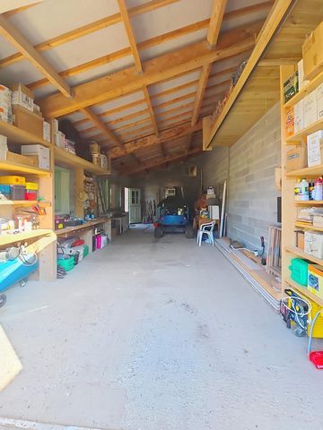 photo no. 5