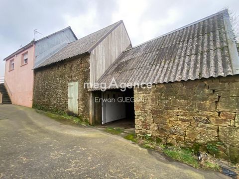 photo no. 13