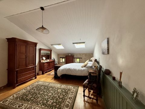 photo no. 12