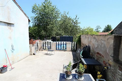 photo no. 6