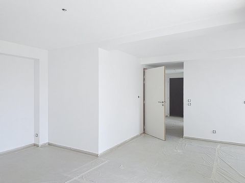photo no. 4