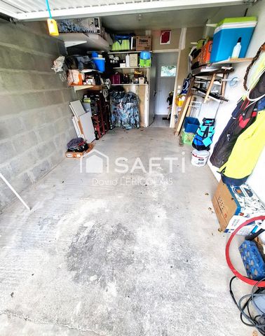 photo no. 12