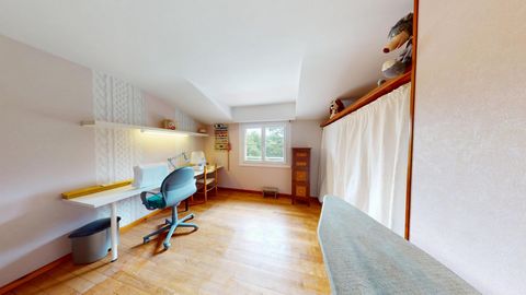 photo no. 9