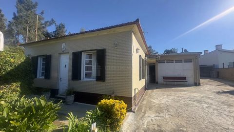 Esta Moradia com 3 quartos, 2 salas, 2 cozinhas e u m terreno generoso com mais de 1.000 m², oferece infinitas possibilidades para quem procura mais do que uma casa — um espaço com futuro . Potencial, versatilidade e espaço para crescer.   - São João...