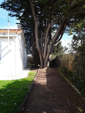 photo no. 6