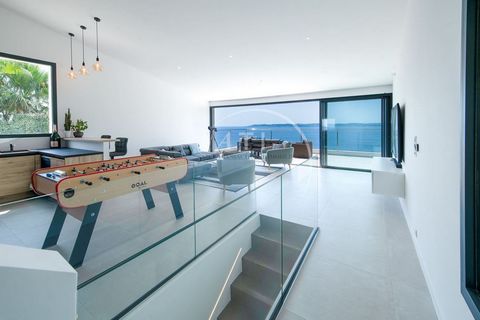 photo no. 7