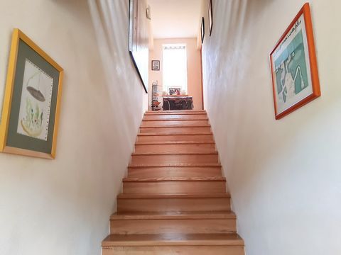 photo no. 13