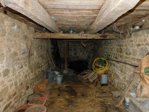 photo no. 16