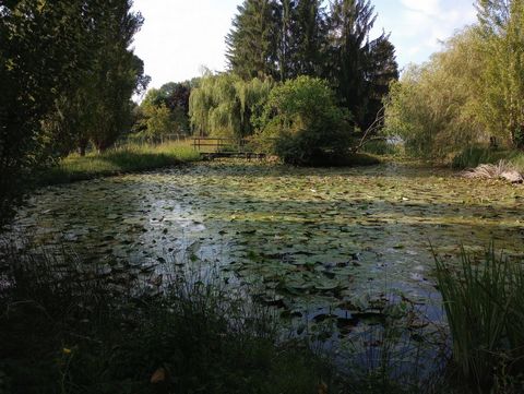 photo no. 14