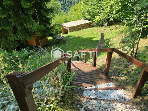 photo no. 10
