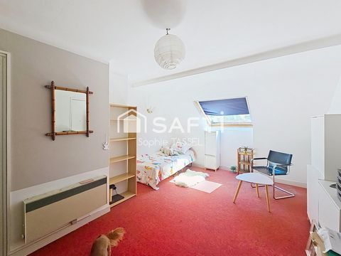 photo no. 11