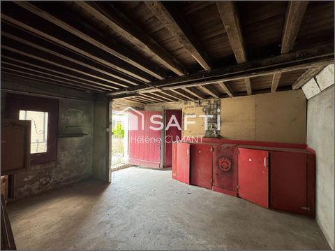 photo no. 16