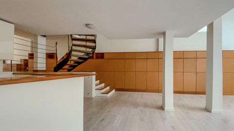 photo no. 17