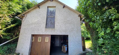 photo no. 9