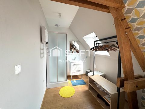 photo no. 15