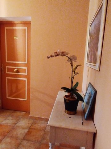 photo no. 5