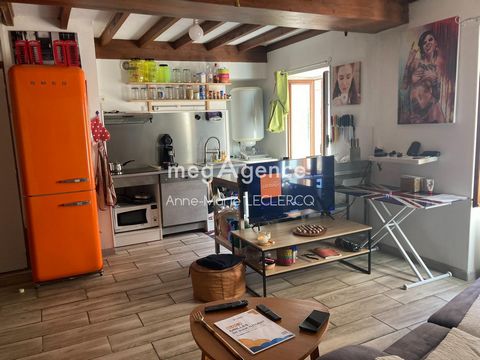 T3 DUPLEX A VENDRE SUR ANSE