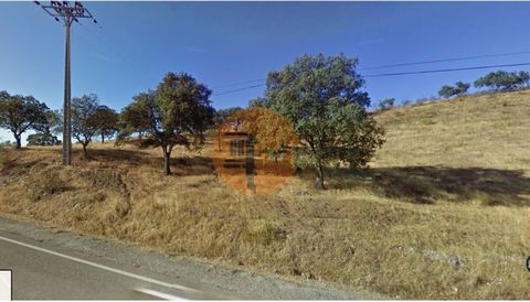 Rustic land with 6480m2 set in Broken with possibility of building. The terrain has fruit trees such as carob and almond trees. Moderate slope. Energy Rating: Exempt #ref:CS-TR-22011