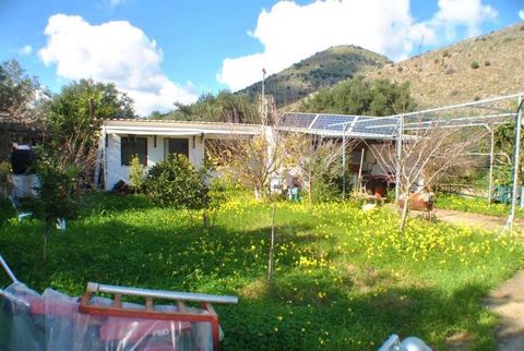 A wonderful detached studio cottage tucked away on a private plot amongst olive groves, yet within a short walk of the centre of the village of Limnes, East Crete. The property comprises a light studio room with wooden beams and a wood burning stove ...