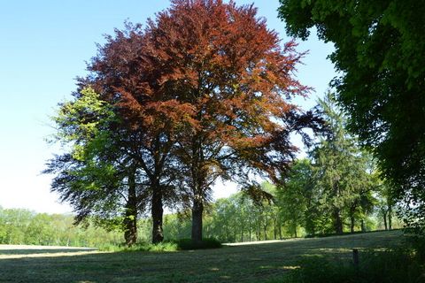 This holiday home in the municipality of Durbuy features a spacious terrace with wide views. It is ideal for a family holiday. The accommodation is in the authentic village of Borlon, with plenty to do in the immediate vicinity. Visit Adventure Valle...