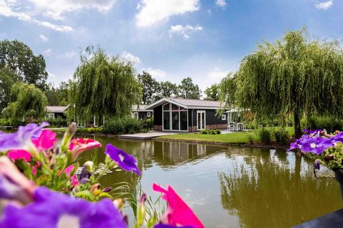 Some of the accommodations are located on the waterfront in a beautiful park, which is surrounded by woods. The old town of Lichtenvoorde arose earlier in a castle, and is now a cozy place with a unique character. You will find there are plenty of ni...