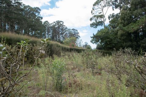 Ausgezeichnetes rustikales Land in Arco da Calheta mit 2398 m2 an der Straße und in einer ruhigen und sicheren Gegend. Möglichkeit des Baus nach dem Übergang von rustikalem zu städtischem Land. Sie können ein Haus bauen und den Raum zu einem ausgezei...