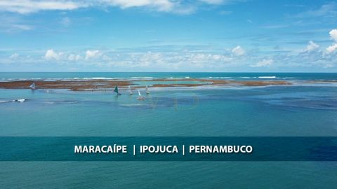 Terrain à vendre à Maracaípe, Porto de Galinhas, Brésil. Description : Terrain de 50 mètres de large face à la mer et d'une superficie totale de 17 200m2. Grande opportunité pour un investissement de haut niveau. Situé sur la plage de Maracaípe, un p...