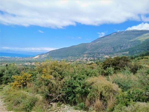 For Sale Agricultural Land , Kyparissia 14.971sq.m , features: For development, For Investment, Amphitheatrical, For tourist use ,  price: 45.000€