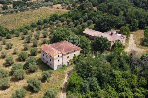 Podere Borgia is a property made up of several buildings with residential and agricultural use for a total of 2,000 square meters (main house, stables, barn, warehouses). Located close to the shores of Lake Trasimeno in a semi-hilly position from whe...